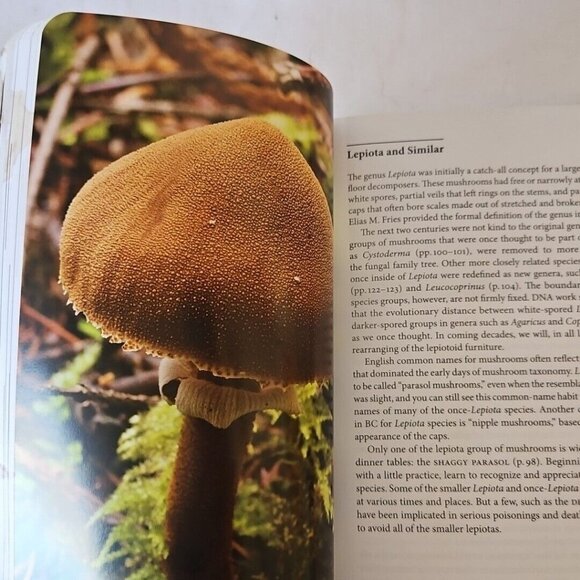Mushrooms of British Columbia Field Guide Identification Handbook MacKinnon Andy - Picture 13 of 16